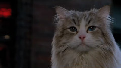 影视原声 - <九条命>