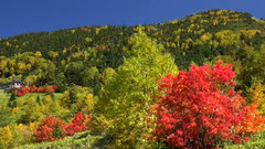 日本志贺高原秋冬美景