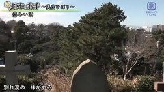 美空云雀 - 悲しい酒