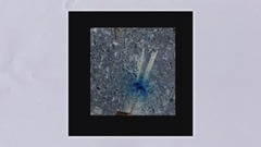 'Youth' Public Image Special Events