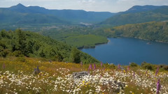 Bandari,音乐短片 - 美丽自然