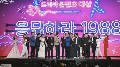 电视剧Contents大赏 - tvN10 Awards 16/10/09