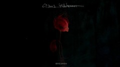 Organek - Mississippi W Ogniu