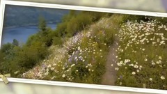 Bandari,音乐短片 - Goodbye Little Susy