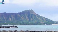 Mason Ho DREAMWAVE Surfing