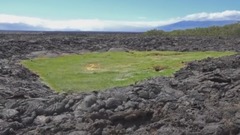 厄瓜多尔加拉帕戈斯群岛