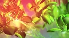 Enigma,音乐短片 - Infinitum