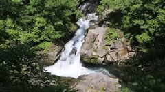 亲近倾听潺潺的溪流大自然