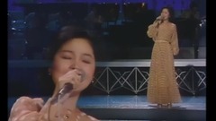 邓丽君 - 夜霧