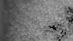 Say You Do (Remix In A Ball Pit)