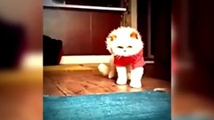 你是我天边最美的云彩