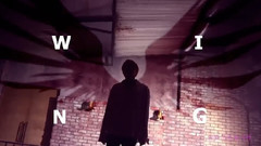 WINGS X X House Of Cards