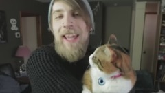 A foreigner will play from my house cat learned ten things