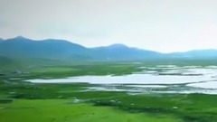 民乐群星 - 大美青海