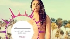 Flipsyde - Happy Birthday