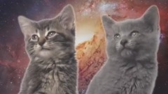 Space Cats Magic Fly 1 Hour Version