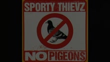Sporty Thievz - No Pigeons (Video)