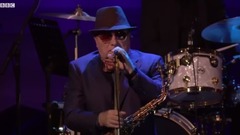 Van Morrison - Too Late