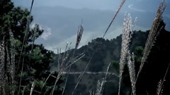 曾晓忠 - 幸福来临