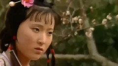 葬花吟(大提琴与古筝短箫)