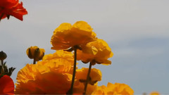 今日もどこかで