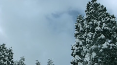 风行旅拍 日本 石川