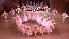 花之圆舞曲-明斯克芭蕾舞团
