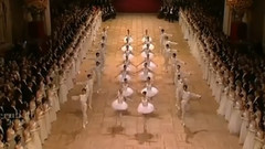 2011 维也纳歌剧院舞会 芭蕾舞
