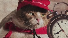 猫为了赚小鱼干承包了一家披萨店