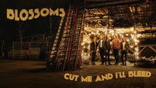 Blossoms - Cut Me And I’Ll Bleed