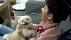 BlockB-MY ZONE 拍摄花絮