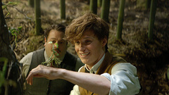 Eddie Redmayne - 电影《神奇动物在哪里》