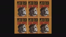 Peter Tosh - Get Up, Stand Up (Audio)