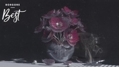 Borgore - Best