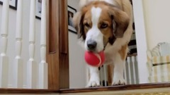 Реклама Фольксваген