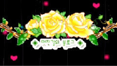 我的祝福你听见了吗