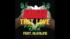 Shaggy - That Love (Dancehall Remix)