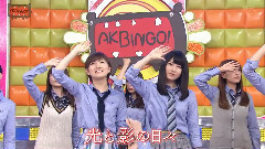 AKB48 - 光と影の日々