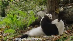 我们诞生在中国 Born in China(2016)