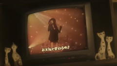 JUJU - 六本木心中