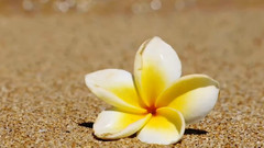 LOVE LETTERS IN THE SAND ROMANTIC SAXOPHONE