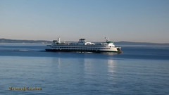 美国西雅图的夏日