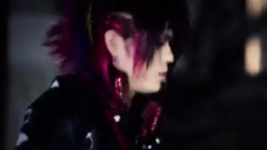 アルルカン - ステラ