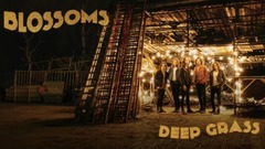 Blossoms - Deep Grass