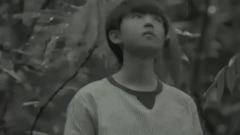 王俊凯 - 王俊凯十七岁生日快乐