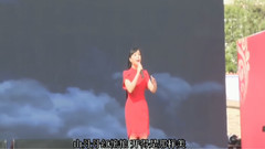 王二妮 - 爱陕北