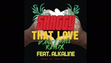 Nick Bakay - That Love (Dancehall Remix [Audio])