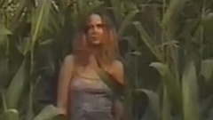 欧美群星 - Love To Hate It