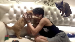 鹿晗 - 【厉害了】我竟然鬼畜了鹿灰黄 饭制版