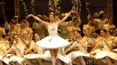 Оживленный сад